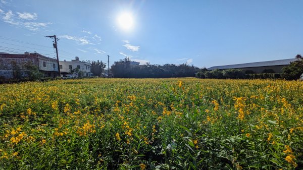 范姜古厝,白沙岬燈塔2371289