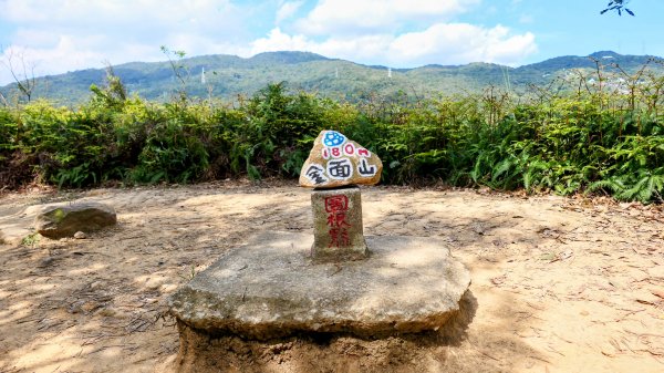 《蝶戀花。酸藤一生》2723367