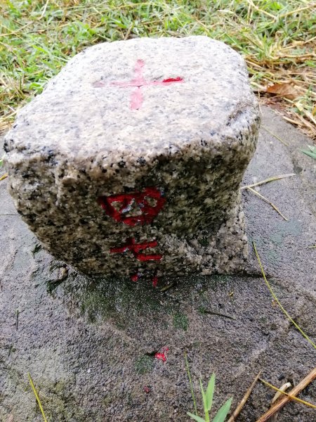 輕鬆好走但我們遇上微雨強風~小百岳鐵砧山918654