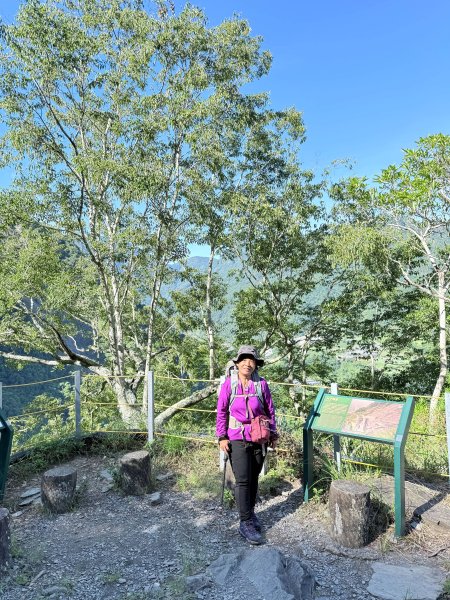 來去郡大坐龍貓公車順登對關山2822326