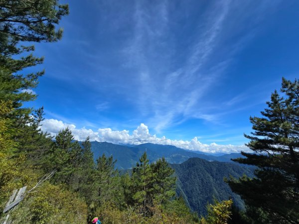 志佳陽大山（回程走高繞環山獵人登山步道）2542148