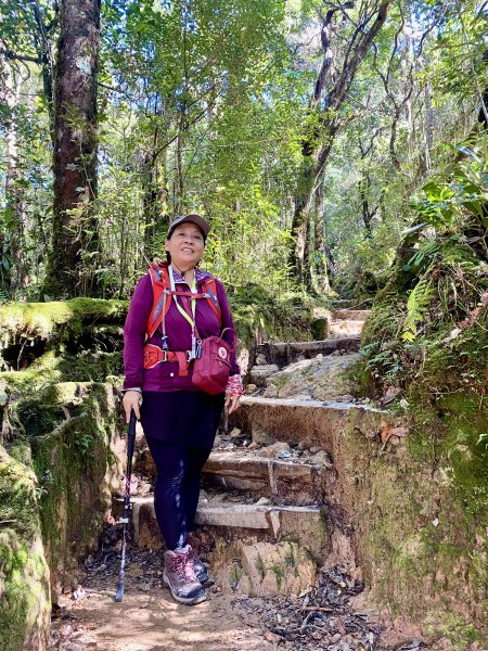 MT. KINABALU沙巴神山登頂記    2023/2/15-162041109