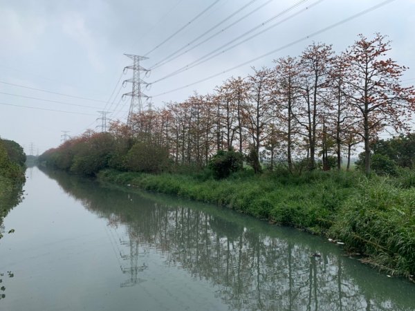 鼓山尖峰泡茶趣---彰化縣埤頭鄉木棉道855693