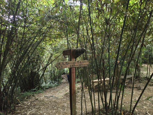 [百山百鳥尋旅-10/15] 2025_0920 溪洲山步道(福山巖登山步道)2893126