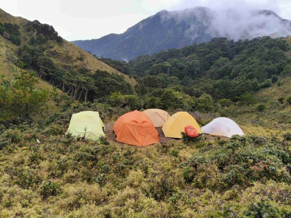 南一段20250101~052684977