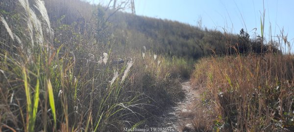 《台中》短暫暖陽｜龍井竹坑南寮步道O繞202601042976418
