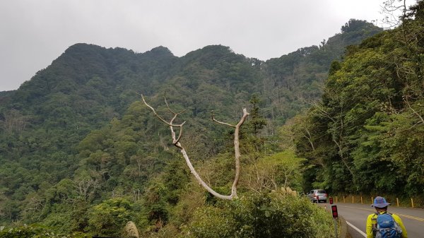 苗栗獅潭仙山509371