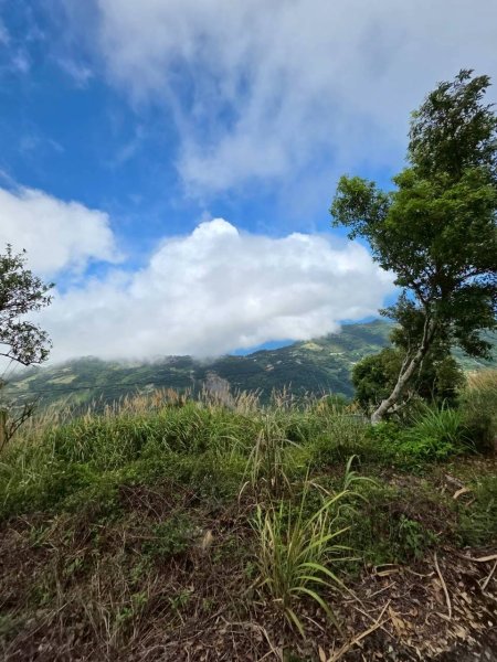 太麻里金針山2872615