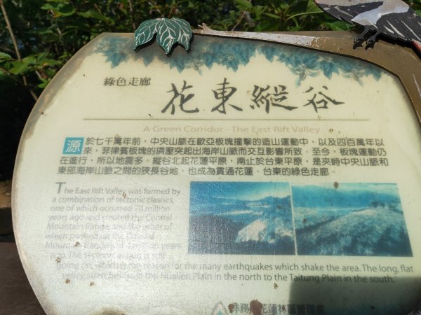 小百岳(89)-鯉魚山-202208141831003