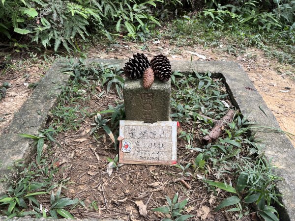 [皮皮獅探險隊-05/10] 2025_0706 石光古道2831863