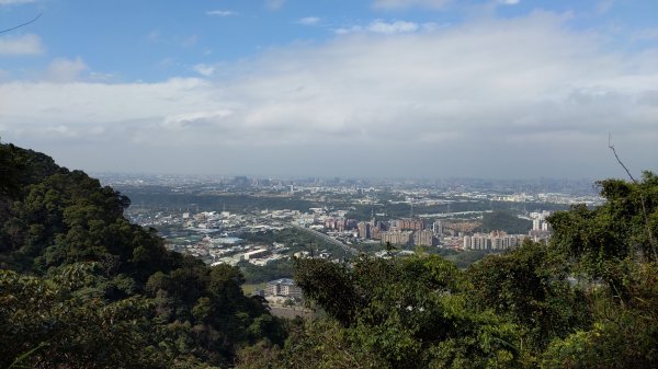 20230120_三峽_鳶山登山步道_五十分山2001594