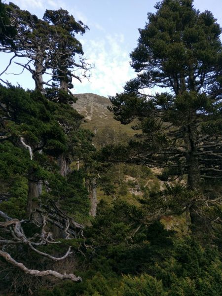 雪山主峰東峰118402