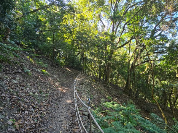 雪山坑登山步道~巨人之手2948730