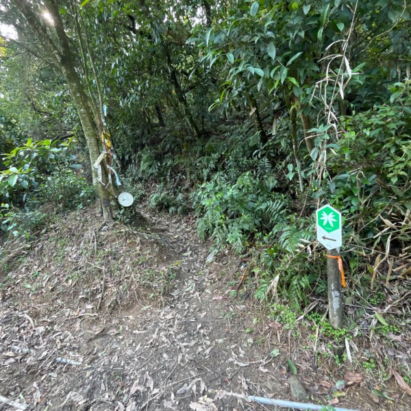 20250310_淡蘭古道北路第三段：澳底到石城車站2855722