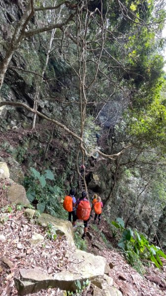 苗栗水雲三星-鳥嘴山（上島山）2651565