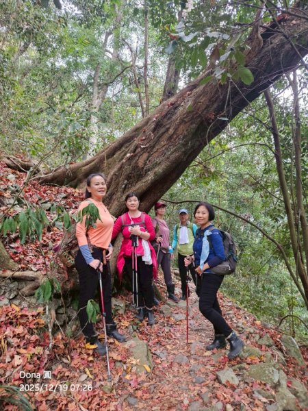 20251219八仙山+佳保台山(谷關三雌)2974416