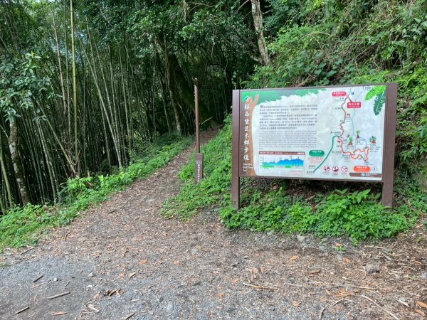 新竹 尖石 鎮西堡巨木群步道A線巨木群 毒龍潭2884749