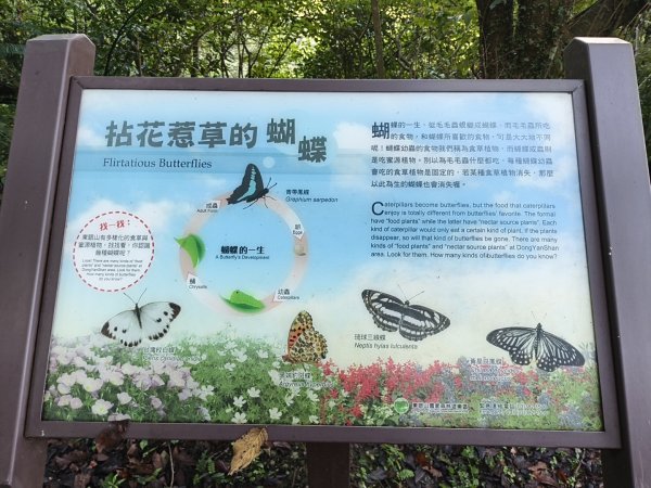 2025_0920 東滿步道2892705