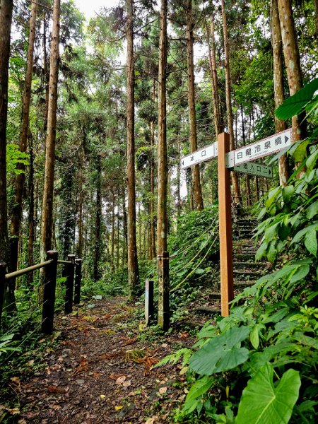 白蘭溪古道-2025森遊竹縣皮皮獅探險隊2895440