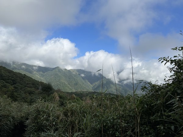 好天氣不爬山要幹嘛！？縱走七星山主東峰 遇見絕美秋芒1910205