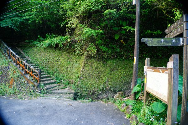 新北 平溪 石燭尖、九龍山、無名尖、中埔崙3099228