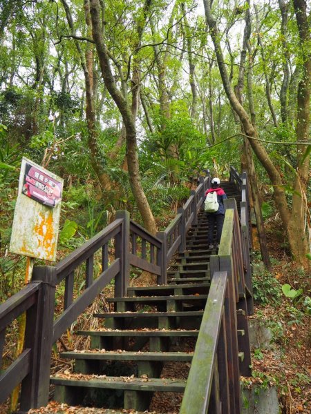 台中東勢軟埤坑天梯O步道20200229857580