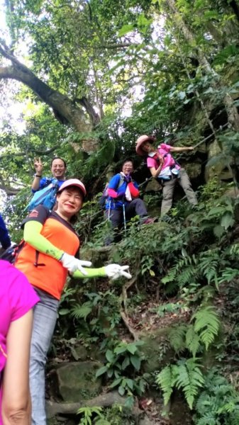 指南宮→猴山岳前峰→猴山岳主峰→草湳948534