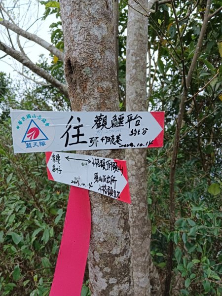 240303雷公埤山（五郎寮山）+鱷魚島景觀步道+小格頭獅頭山2444241