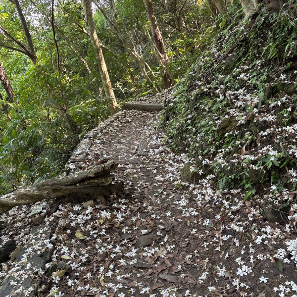 天上山2780404