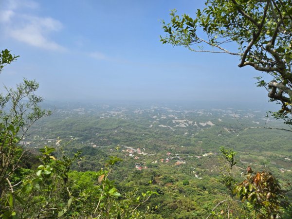 龍麟山步道2748689