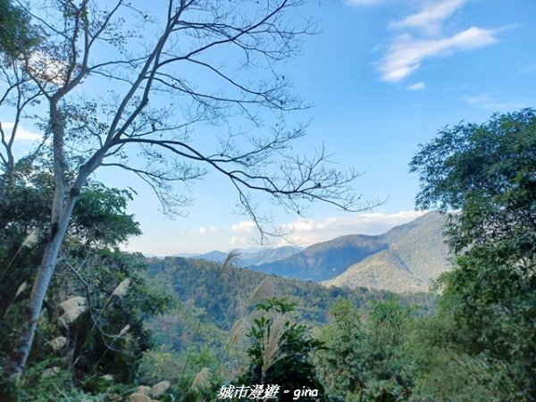 【南投埔里】天旨宮鰲頭山步道x虎頭山鯉魚潭步道x虎頭山觀景平台連走2988504