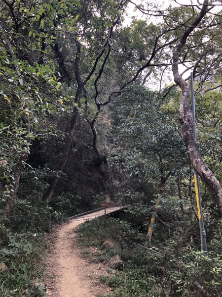 台灣小百岳No.080 里龍山908201