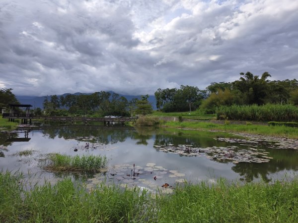 [漫遊縱谷 愛在花東-04/10] 2025_1011 羅山村竹林步道2913250