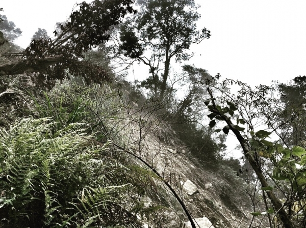 大凍山縱走2017013096472