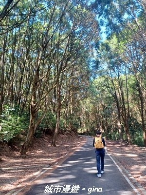 【南投魚池】郊山好視野。 金龍山(槌仔寮山)步道2976303