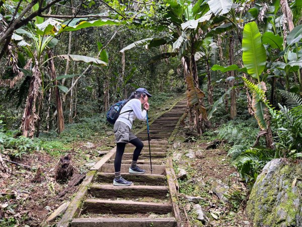 鯉魚山步道群2728320