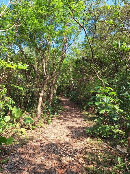 粉鳥林+蛇山步道+東岳湧泉+南方澳戲水202408112573791