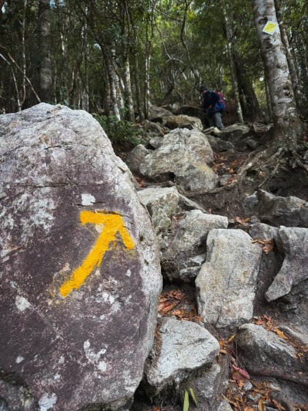 鳶嘴山上的瘦稜2983867