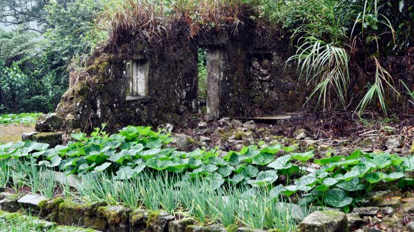 淡蘭古道中路（闊瀨崩山坑環線）989168