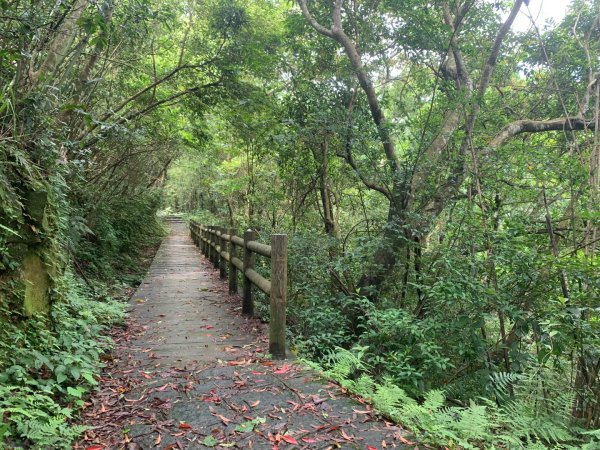 大崎棟古道、騎龍古道2772249