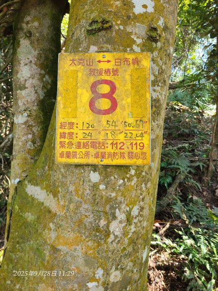 苗栗卓蘭大克山3103181