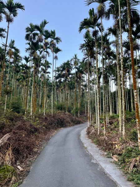 關仔嶺大凍山 小百岳1855320