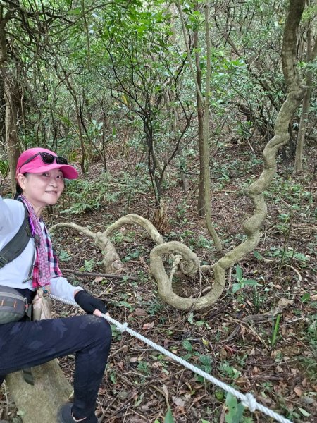 瑞芳四秀加碼大武崙澳底沙灘2238763