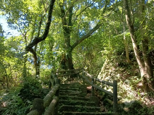 汐止區白雲古道+白雲寺O型2911968