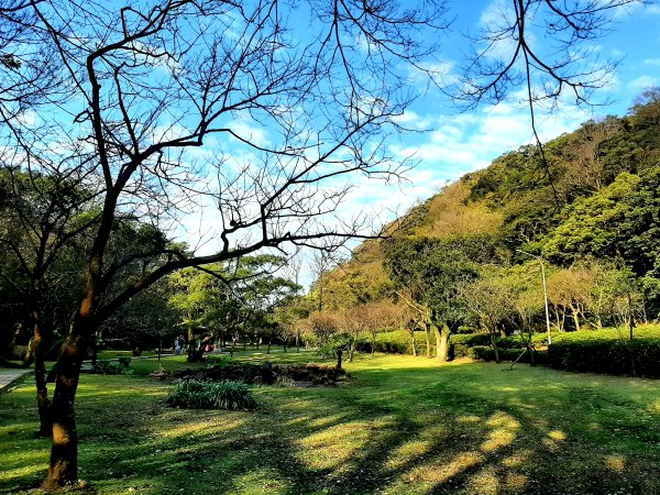 幸福五感森林癒2694303