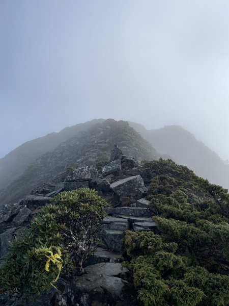 一日小O聖 2024 11/222865494