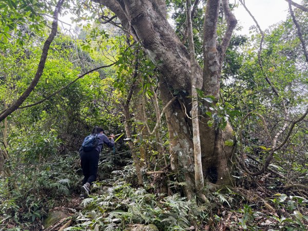 暗影山步道2753091