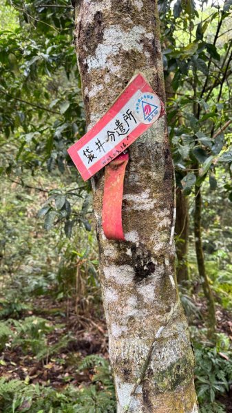 六龜警備線南段（藤枝-茂林）2天1夜2758256