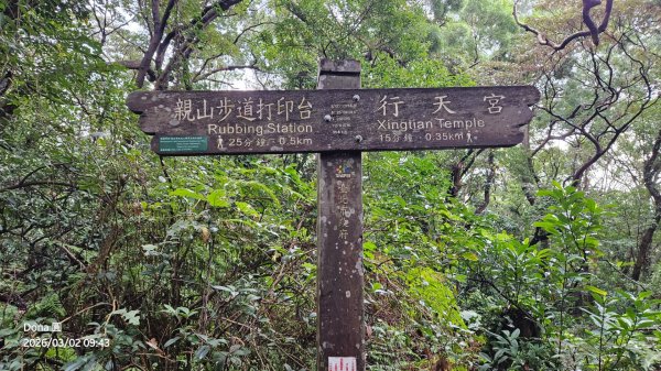 20260302忠義山.小坪頂山.貴子坑山大O走3009798