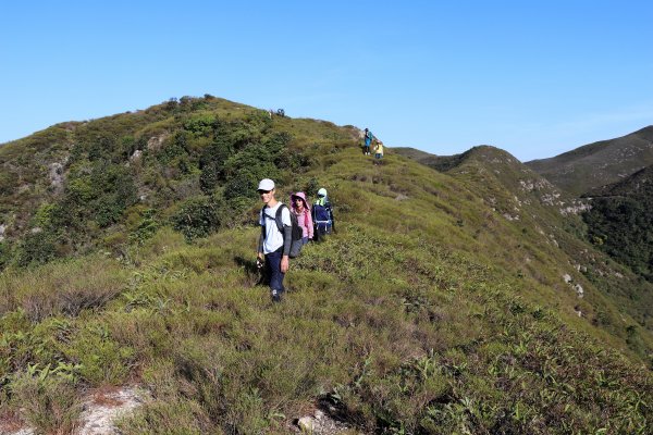 HK - 白燕岩1661232